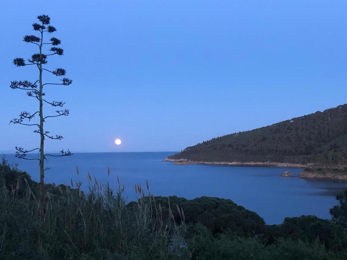 Case Dei Limoni Sul Mare Capoliveri  Exteriör bild