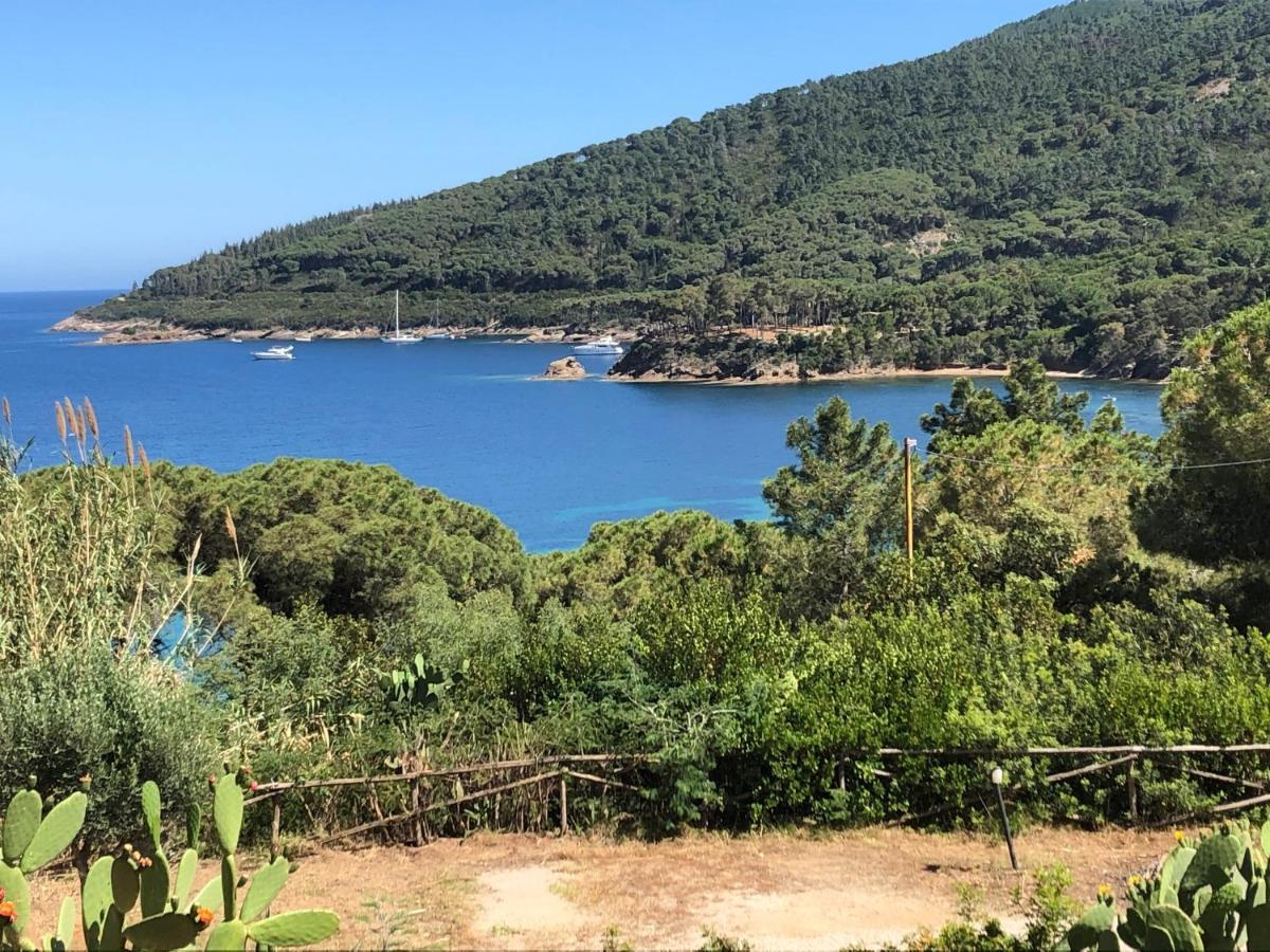 Case Dei Limoni Sul Mare Capoliveri  Exteriör bild