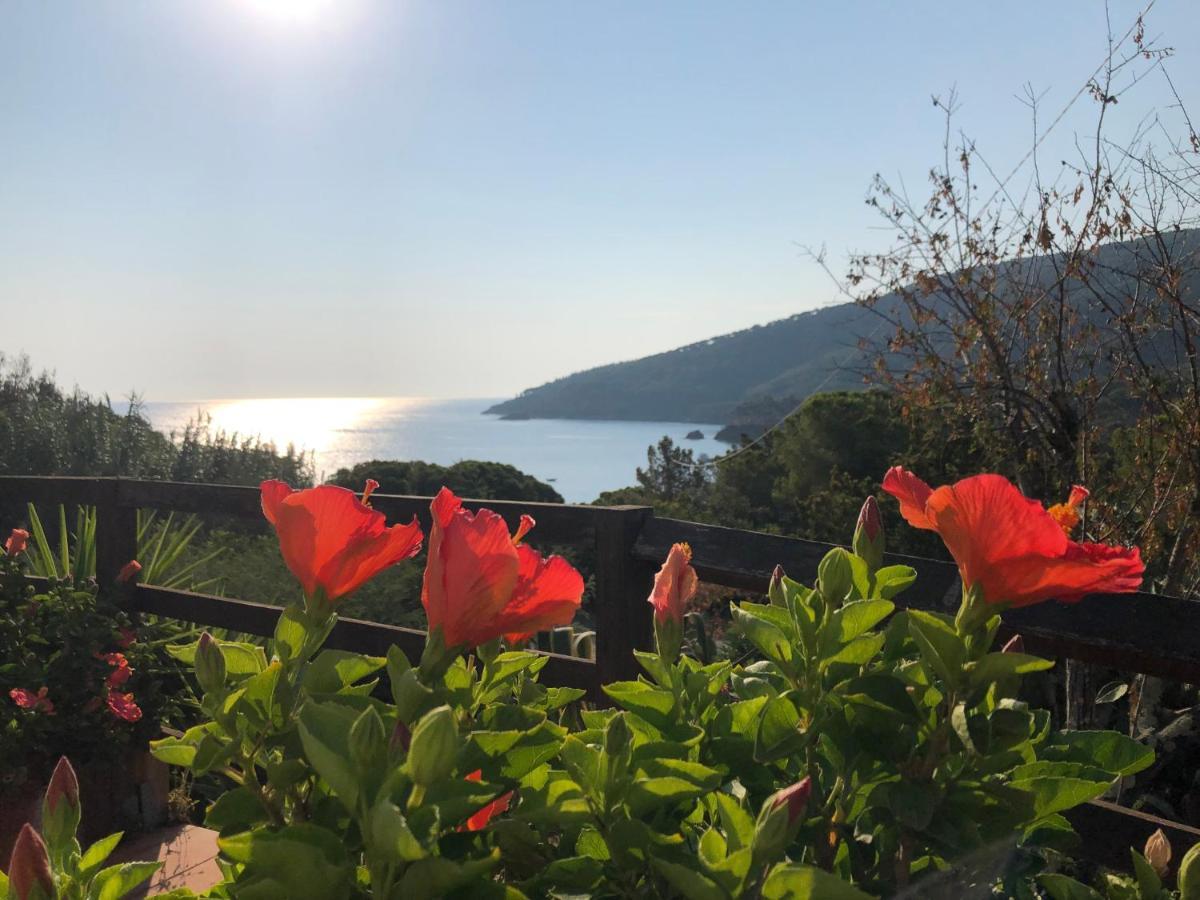 Case Dei Limoni Sul Mare Capoliveri  Exteriör bild