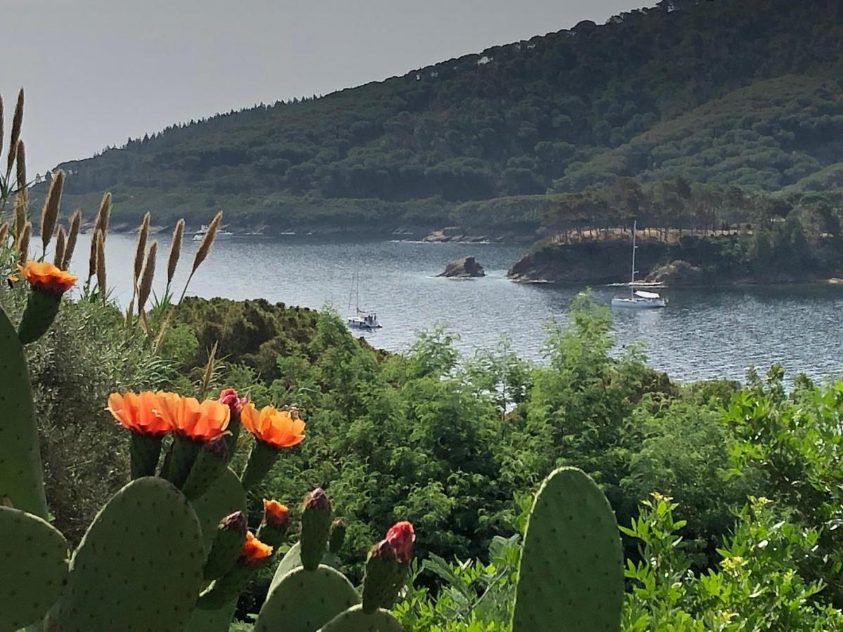 Case Dei Limoni Sul Mare Capoliveri  Exteriör bild