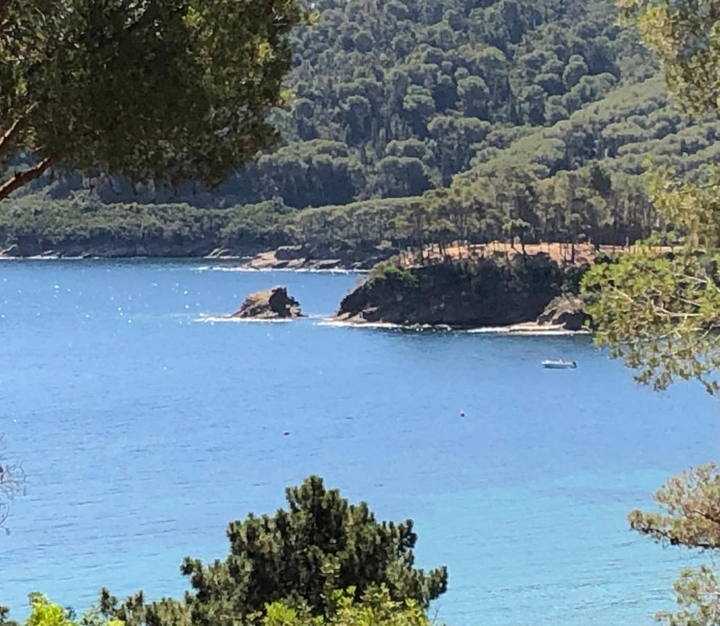 Case Dei Limoni Sul Mare Capoliveri  Exteriör bild