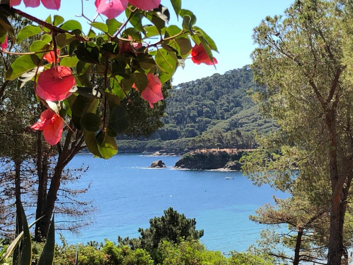 Case Dei Limoni Sul Mare Capoliveri  Exteriör bild