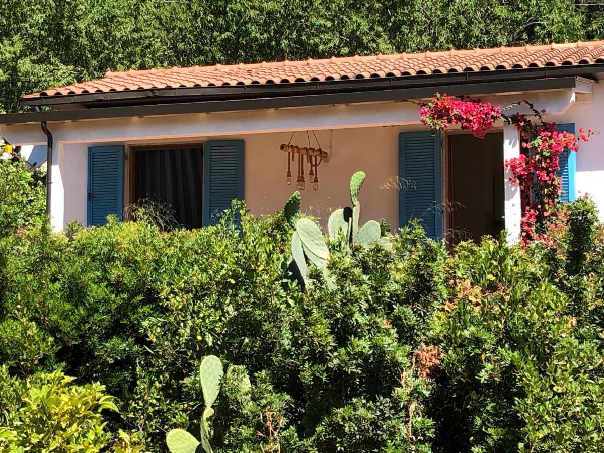 Case Dei Limoni Sul Mare Capoliveri  Exteriör bild