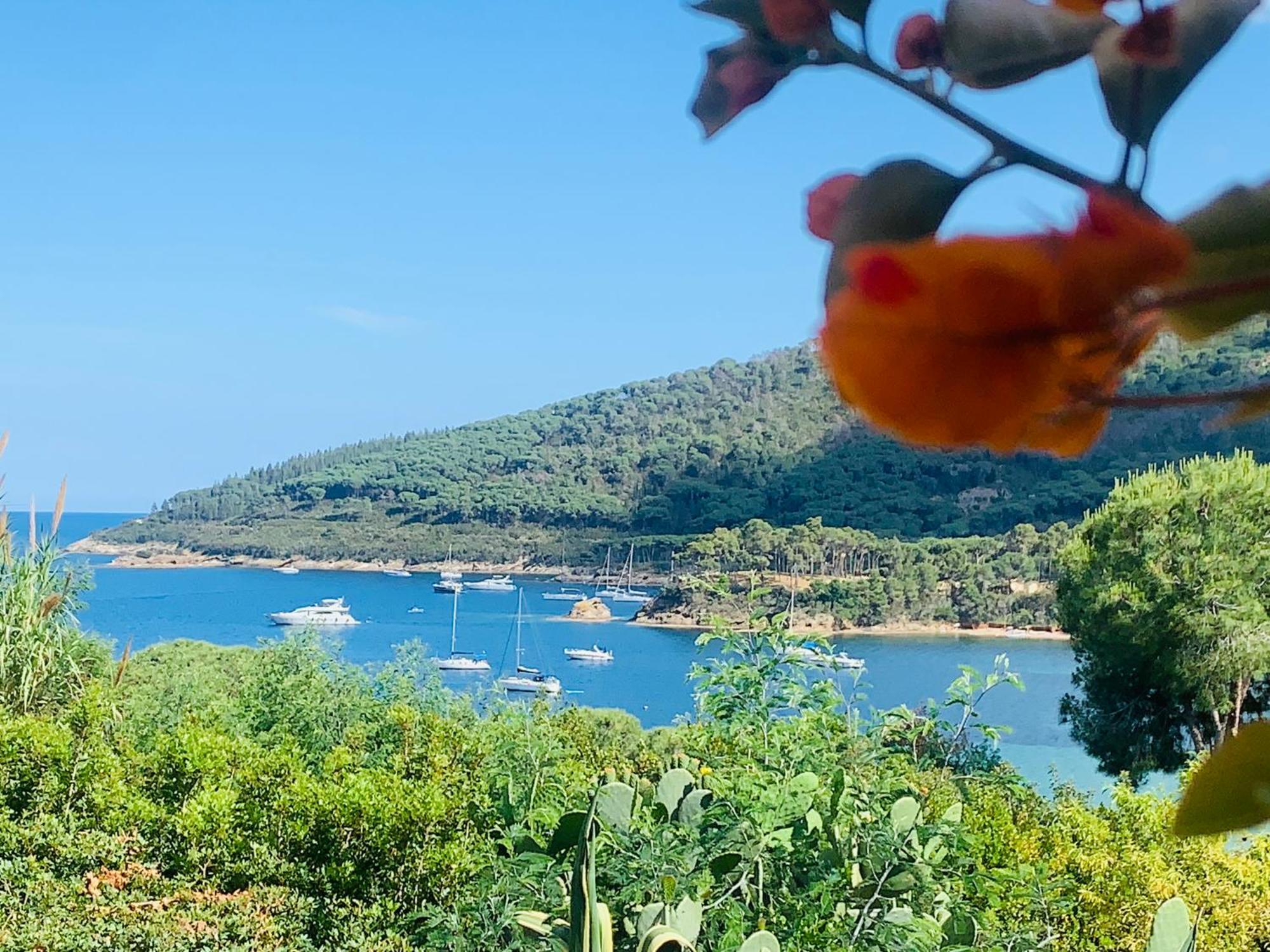 Case Dei Limoni Sul Mare Capoliveri  Exteriör bild
