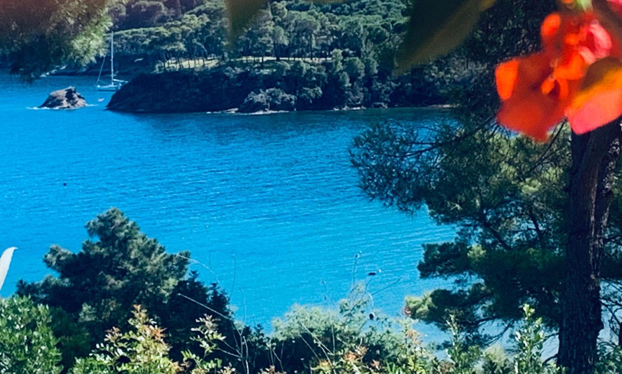 Case Dei Limoni Sul Mare Capoliveri  Exteriör bild